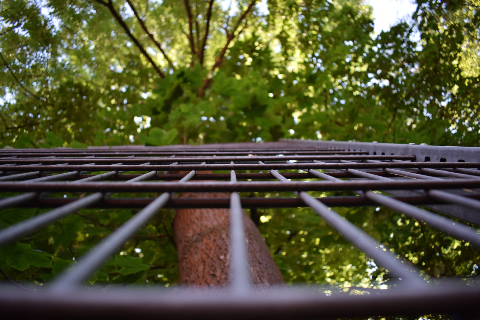grid-2431415_1920
